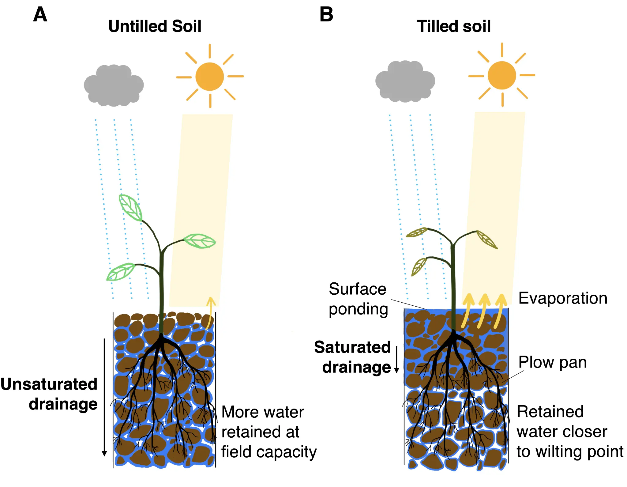 Soil Hydrodynamics